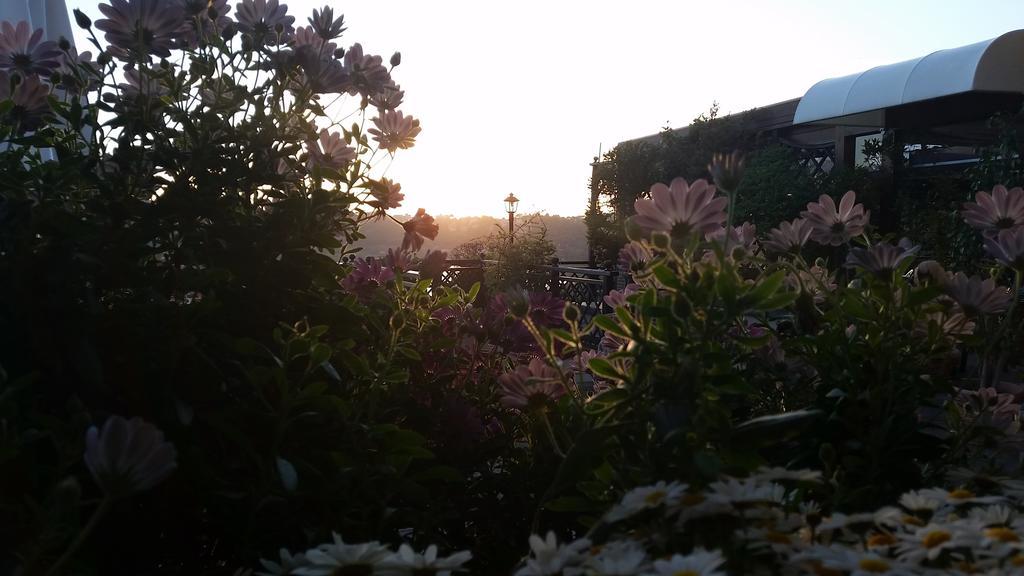 Hotel Villa Degli Angeli 카스텔간돌포 외부 사진